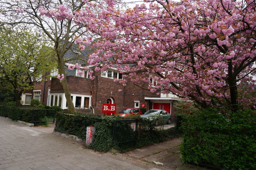 Xaviera'S Bed And Breakfast Amszterdam Kültér fotó